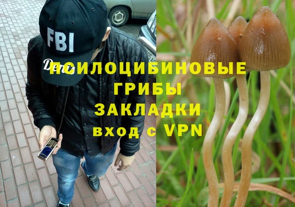 спайс Алексин