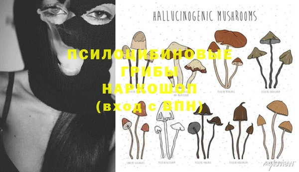 спайс Алексин